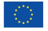  The project was funded by the European Union’s Justice Programme —Drugs Policy Initiatives