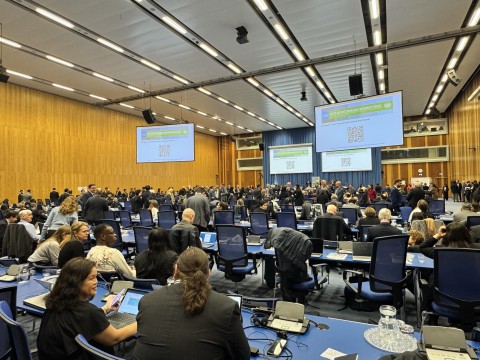 Balai Pleno CND ke-68, 14 Maret 2025 Pemandangan ruang pleno di Komisi Narkotika ke-68 di Wina, Austria, pada 14 Maret 2025.